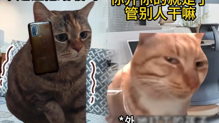 ช่วงเวลาที่น่าทึ่ง