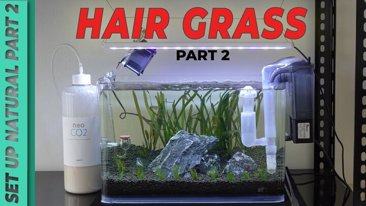 Tutorial Setup Hair Grass Part2 (Peralatan)