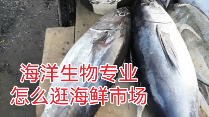 Sinh viên chuyên ngành sinh vật biển dẫn bạn tham quan chợ cá