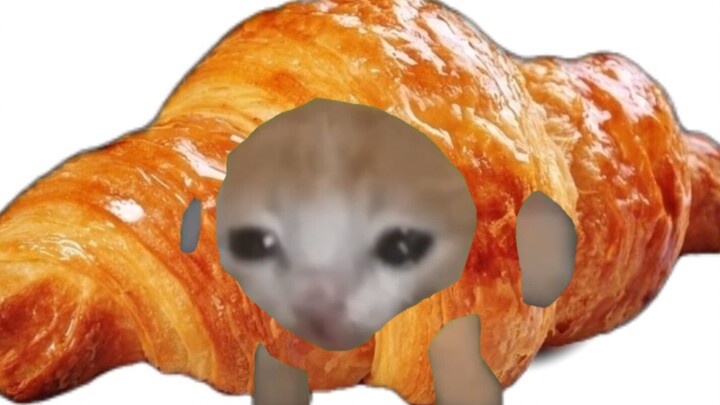 แมวครัวซ็อง (แต่เป็นภาษาญี่ปุ่น)