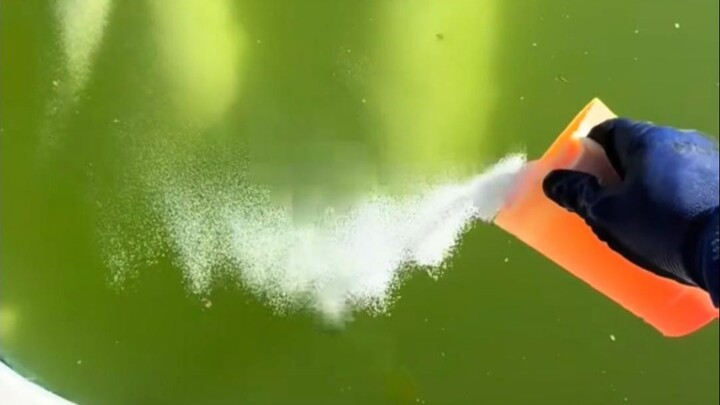 Why do people prefer adding cleaning agents to the pool rather than changing the water?