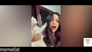 Bỏ tui xuống! Meoooo #funny