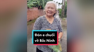 Tạm biệt Hải Phòng, tạm biệt bà, tạm biệt Mít...cunyeucuadua chó chócon chókhôn chócute haiphong haiphongcity