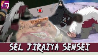 KASHIN KOJI DICIPTAKAN OLEH SEL JIRAIYA SERTA ZETSU PUTIH ?? Alasanya..