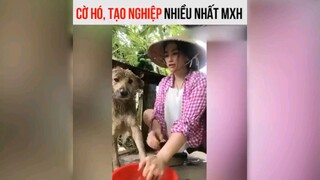 cờ hó tạo nghiệp nhất MXH =))) #meme