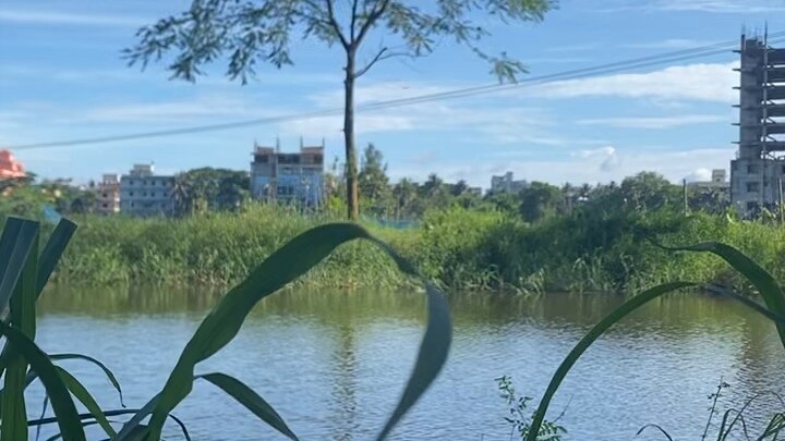 গ্রাম বাংলার সৌন্দর্য।
