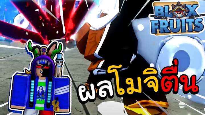 สปอยลับอัพเดต17.3 Admin! ผลโมจิตื่น โครตโหด!! (Blox Fruit)