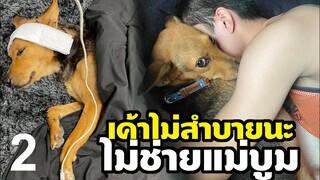 หมูทะ เค้าไม่สบายนะ! ไม่ใช่แม่บูม OMG! โอ้แม่สาวน้อยขนาดป่วยยังน่ารักน่าชังแท้