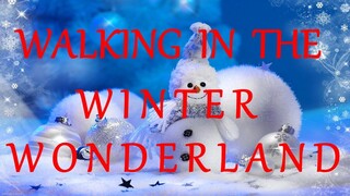 WALKING IN THE WINTER WONDERLAND - BING CROSBY lyrics