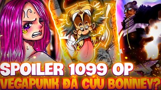 SPOILER 1099 OP | VEGAPUNK ĐÃ CỨU BONNEY?! | LÝ DO BONNEY CÓ TRÁI ÁC QUỶ?