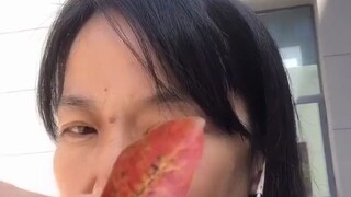 我怎么没早点遇到这个老师