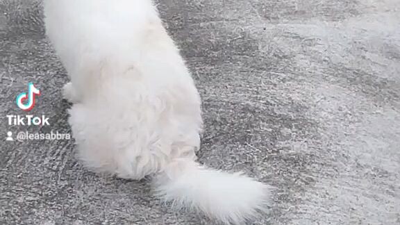 love it pets 😘❤️