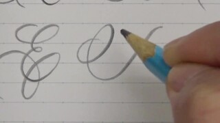 [Flower Calligraphy] Writing gives the feeling of punching