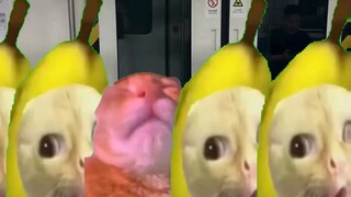 When I get post-holiday syndrome...