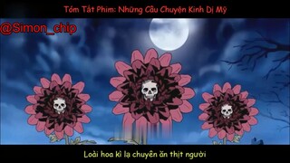 Tóm Tắt Phim- CHUYỆN KINH DỊ MỸ #reviewfilm