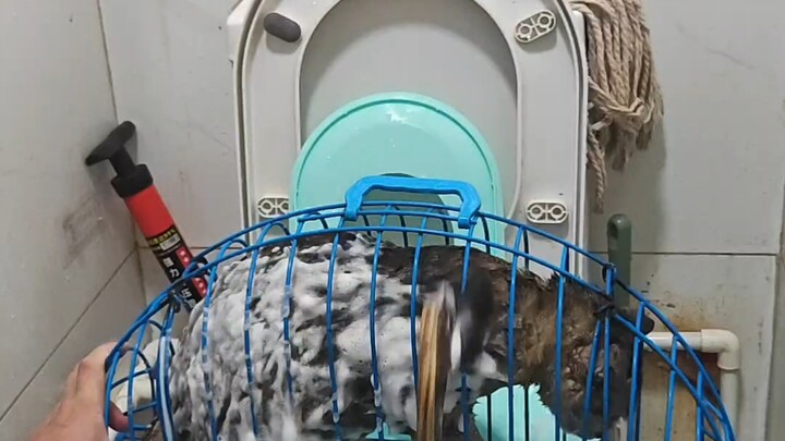 The water after washing is all black.