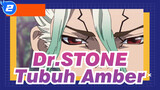 Dr.STONE | [Senkuu & Amber] Tubuh Amber_2