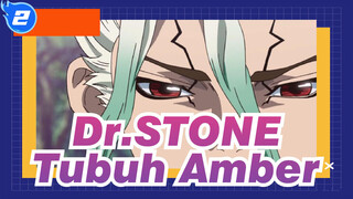 Dr.STONE | [Senkuu & Amber] Tubuh Amber_2