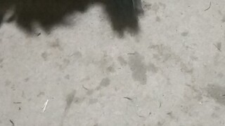 msih di jalur hoki sepjuh win2x