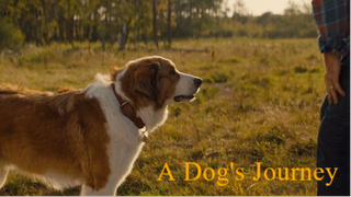 A Dogs Journey (2019)