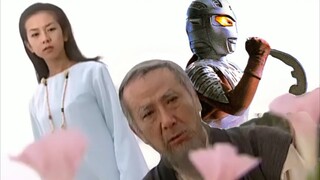 Seven ov Legend of Dragon Palace Adults understand lies