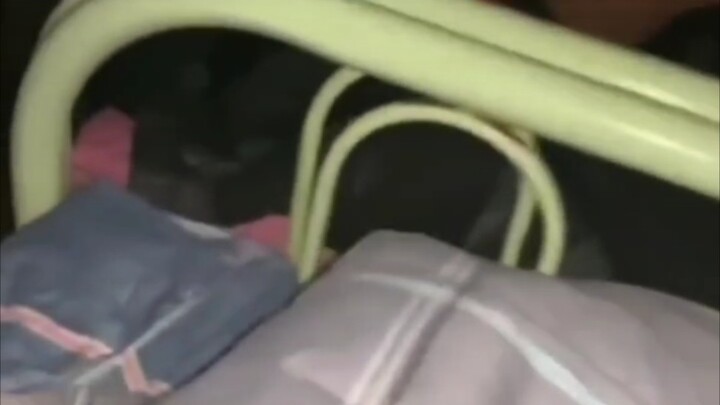 Are we seriously living in a toad's burrow?