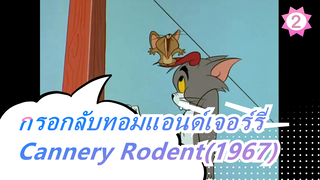 ทอมแอนด์เจอร์รี่|จะเกิดอะไรขึ้นเมื่อกรอกลับ?Cannery Rodent(1967)_2