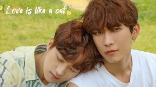 Love is like a cat | Mew Suppasit & JM (JUST B) | April 1 | 12 EP