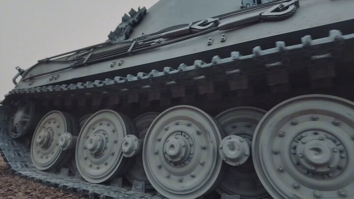 The invincible posture of the full metal tiger king. A 400-pound big guy.