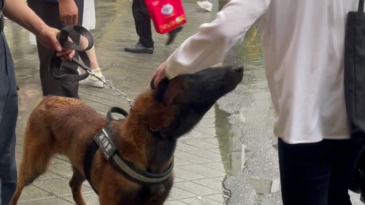 ก่อนเข้าห้องสอบ ผู้สอบทุกคนต่างอยากลูบหัวสุนัขตำรวจ หวังว่าสุนัขตำรวจของเราจะนำโชคดีมาให้ผู้สอบทุกคน