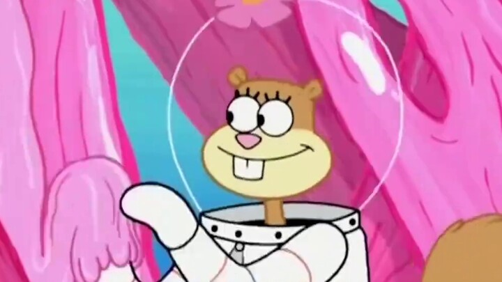 Kamu bilang ini tidak murni, kamu hanya bodoh