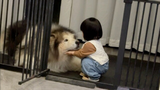 إذا لم تعودي تحبين الحركة، فلنحتضني بعضنا البعض.