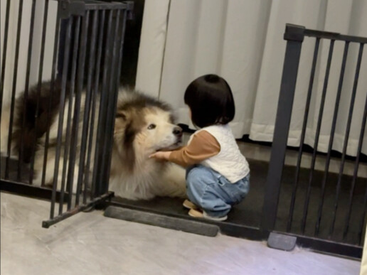 Nếu không muốn vận động nữa thì ôm nhau đi.