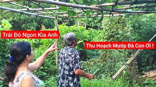 "Vui Mừng" Sau Bao Nhiêu Ngày Chờ Đợi | CNTV #90