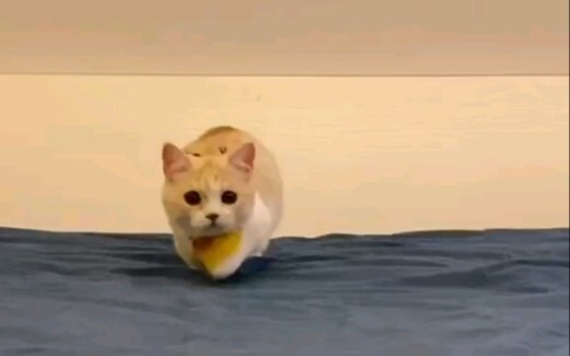 Chạy mãi rồi chân biến mất luôn.