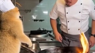 【سورة】مجموعة مسرحيات صغيرة خارقة من إنتاج الذكاء الاصطناعي