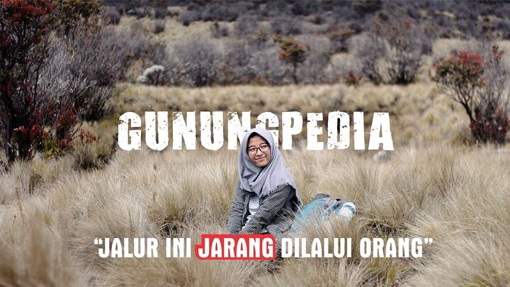 Gunungpedia - Jalur Gunung Lawu mana yang terbaik?
