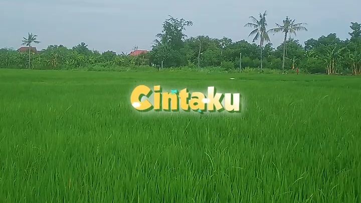 #cintaku luar biasa