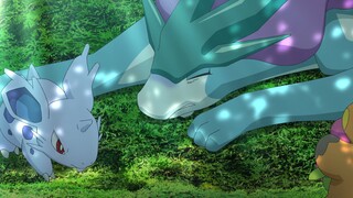 Pokemon Tập 1143: Thu phục được huyền thoại?! Tìm kiếm vị thần hộ mệnh của nước, Suicune!!