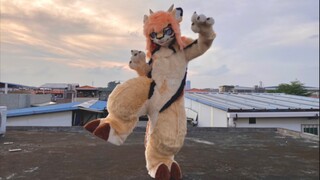 [Fursuit Making] Little Gazelle