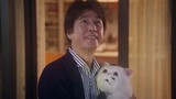A Man and his cat (2021) ep 12 finale eng sub live action drama