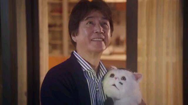 A Man and his cat (2021) ep 12 finale eng sub live action drama