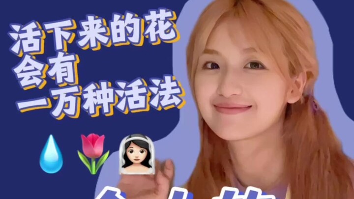 《第三十七单心愿已完成》