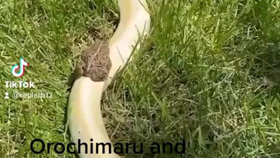 real life orochimaru and jiraiya