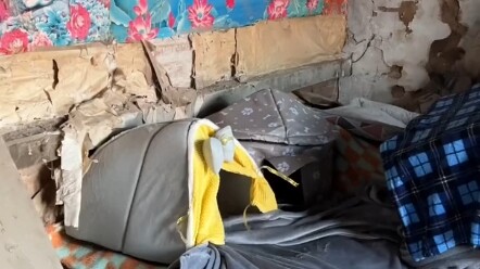 أصنع عشاً لقطط في الثلج