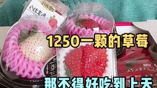 1250日元一颗的草莓，能好吃上天吗？