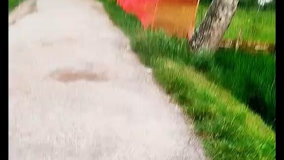 আমাদের এলাকা