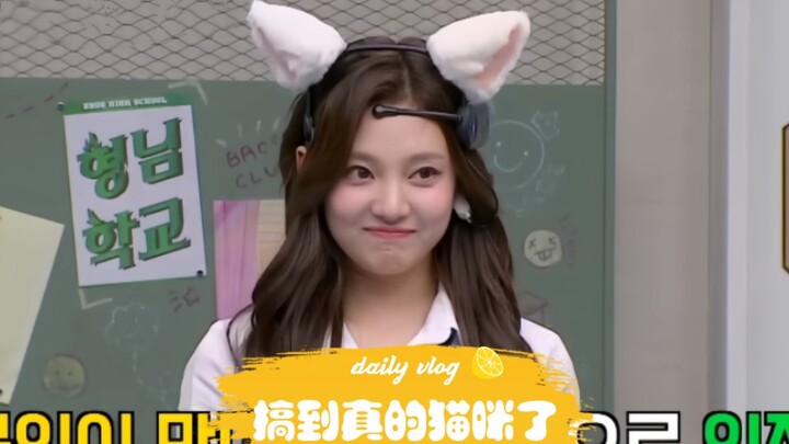 【นิงอี้จั๋ว】โดนความน่ารักของน้องแมวทำให้เคลิ้มไปแล้ว～ทำไมไม่ใช่ฉันเป็นคนคลอดนะ ฮือๆๆ