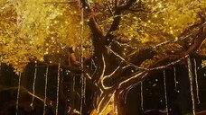 Lin dong S5 Episode 08 Subtitle Indonesia