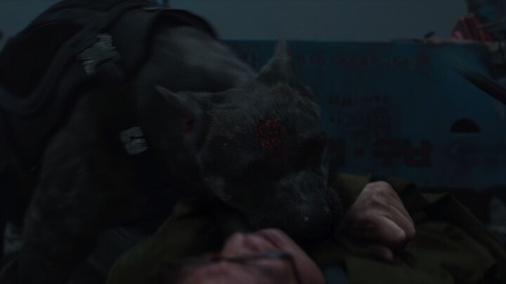 Project.Silence.2023.Dual.1080p.HEVC